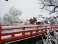 2012.04.04雪景色 (4).jpg