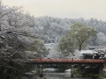 冬の中橋 001.JPG